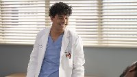 Greys Anatomy